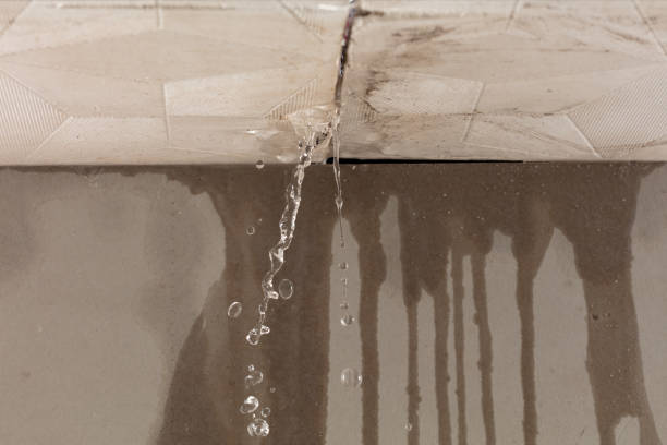 Professional Structural Drying technician working in Kindred, ND